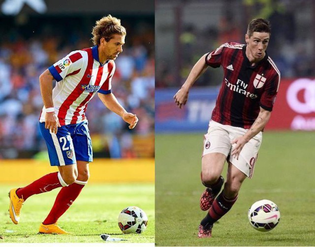 cerci-torres